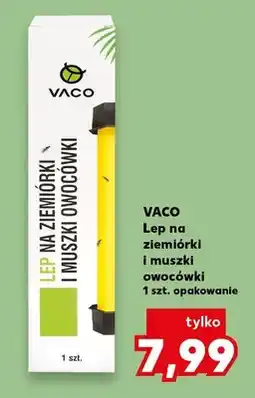 Kaufland Lep na ziemiórki i muszki owocówki oferta