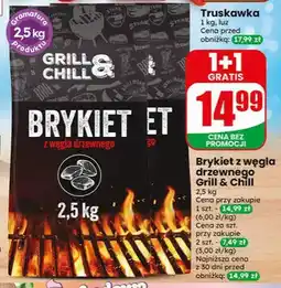 Dino Brykiet z węgla drzewnego grill & chill oferta
