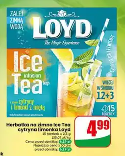Dino Herbatka na zimno Ice Tea cytryna limonka Loyd oferta