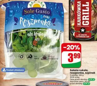 Dino Sałata rukola, roszponka, szpinak oferta