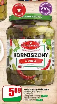 Dino Korniszony Urbanek z chili oferta