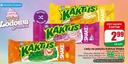 Dino Lody na patyku Kaktus Shake różne rodzaje oferta