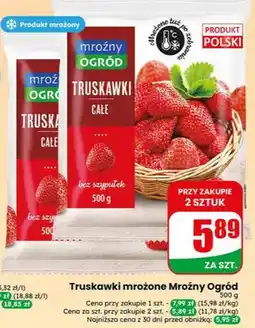 Dino Truskawki mrożone oferta