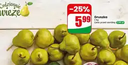 Dino Gruszka oferta