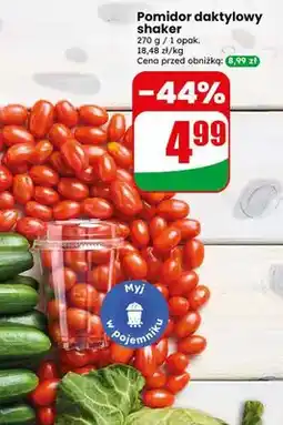 Dino Pomidor daktylowy shaker oferta