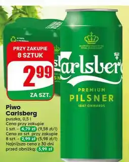 Dino Piwo Carlsberg puszka oferta