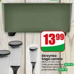 Dino Skrzynka Saga Lamelia 28,5x17cm 1szt oferta