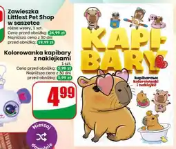 Dino Kolorowanka kapibary z naklejkami 1szt oferta