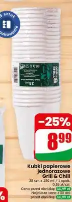 Dino Kubki papierowe jednorazowe Grill & Chill 250ml 25szt oferta