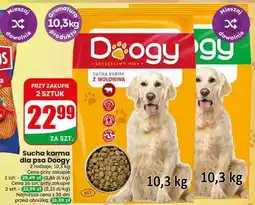 Dino Sucha karma dla psa Doogy z wołowiną oferta