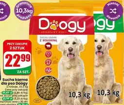 Dino Sucha karma dla psa Doogy 2 rodzaje oferta