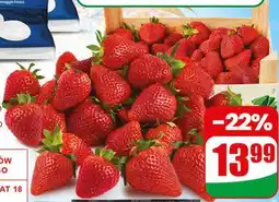 Dino Truskawka oferta