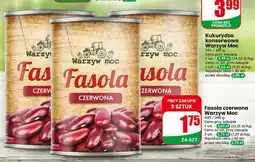 Dino Fasola czerwona oferta