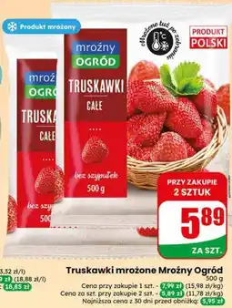 Dino Truskawki mrożone Mroźny Ogród oferta