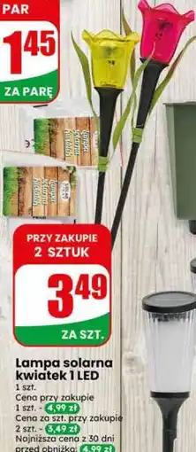 Dino Lampa solarna kwiatek 1 LED oferta
