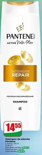 Dino Szampon do włosów Pantene oferta