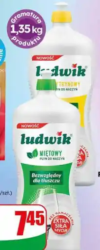 Dino Płyn do mycia naczyń Ludwik oferta