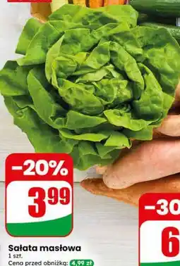 Dino Sałata masłowa 1 szt oferta