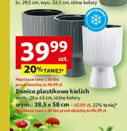 Auchan Donica plastikowa kielich oferta
