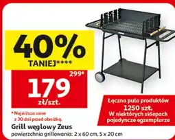 Auchan Grill węglowy Zeus oferta