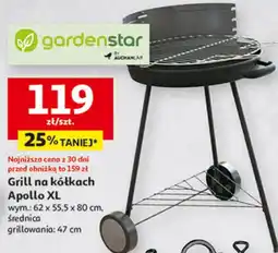 Auchan Grill na kółkach Apollo XL oferta