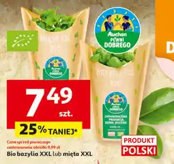 Auchan Bio bazylia XXL lub mięta XXL Auchan oferta