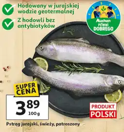 Auchan Pstrąg jurajski, świeży, patroszony oferta