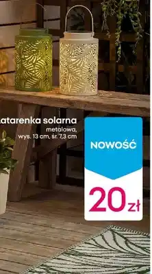 Pepco Latarenka solarna oferta