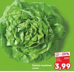 Kaufland Sałata masłowa oferta