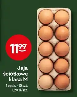 Żabka Jaja ściółkowe klasa M oferta