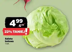 Netto Sałata lodowa oferta