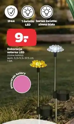 Netto Dekoracja solarna LED (różne kolory) oferta