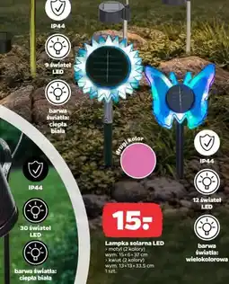 Netto Lampka solarna LED - motyl (2 kolory) oferta