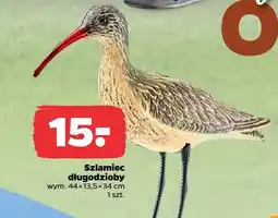 Netto Szlamiec długodzioby oferta