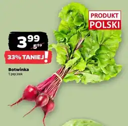 Netto Botwinka oferta