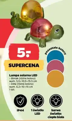 Netto Lampa solarna LED - żółw (różne kolory) oferta