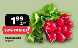 Netto Rzodkiewka oferta
