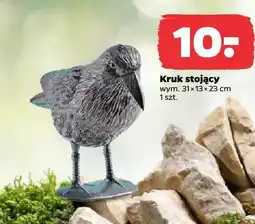 Netto Kruk stojący oferta