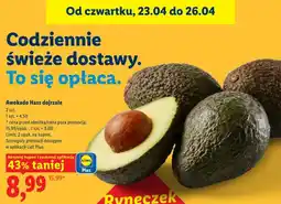 Lidl Awokado Hass dojrzałe oferta
