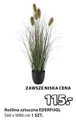 JYSK Roślina sztuczna EDERFUGL oferta