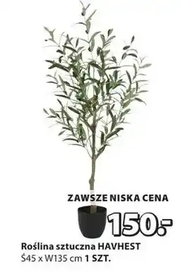 JYSK Roślina sztuczna HAVHEST oferta