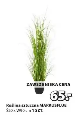 JYSK Roślina sztuczna MARKUSFLUE oferta