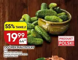 Chata Polska Ogórek małosolny oferta
