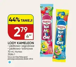 Chata Polska Lody kameleon jabłkowo-wiśniowe oferta