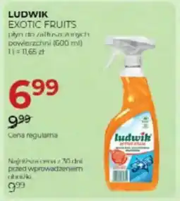 Jawa Drogerie Ludwik exotic fruits płyn do zatłuszczonych powierzchni oferta