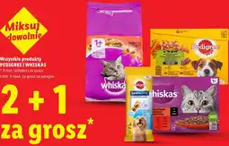 Lidl Wszystkie produkty PEDIGREE i WHISKAS oferta