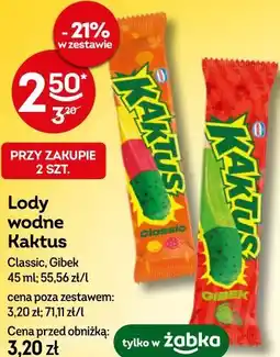 Żabka Lody wodne Kaktus oferta