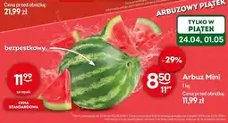 Żabka Arbuz Mini oferta