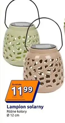 Action Lampion solarny różne kolory oferta