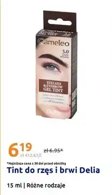Action Tint do rzęs i brwi Delia oferta